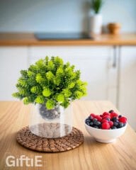 Dekoratif Mini Saksılı Yapay Top Sukulent