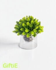 Dekoratif Mini Saksılı Yapay Top Sukulent