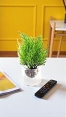 Dekoratif Mini Saksılı Yapay Kuşkonmaz