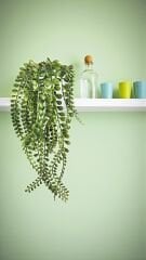 Dekoratif Saklısı Yapay Sarkıt Bitki