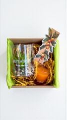 Sukulent Hediye Kutusu