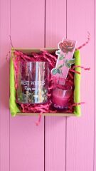 Sukulent Hediye Kutusu