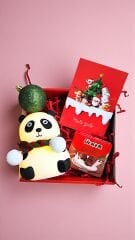 Yeni Yıl Panda Gece Lambası Kutusu